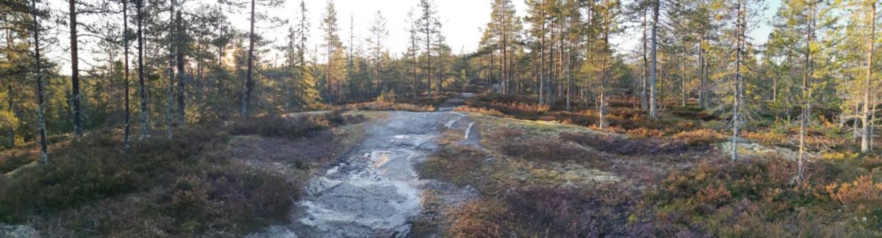 Hyttingsfabodstugor Borlänge Extérieur photo