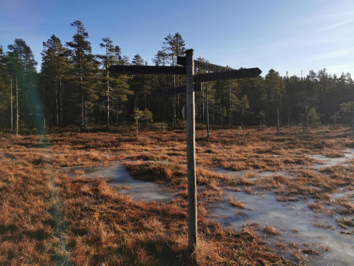 Hyttingsfabodstugor Borlänge Extérieur photo
