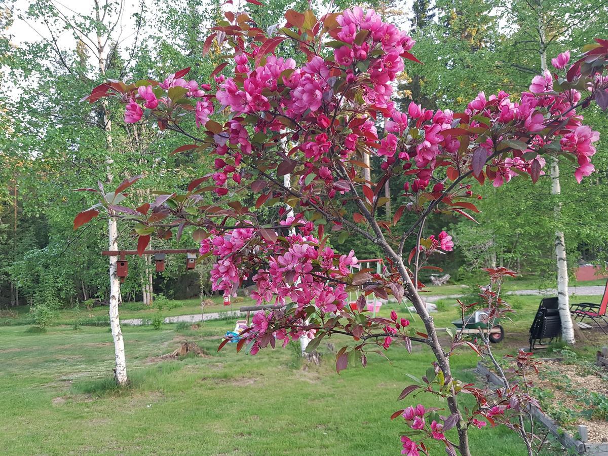 Hyttingsfabodstugor Borlänge Extérieur photo