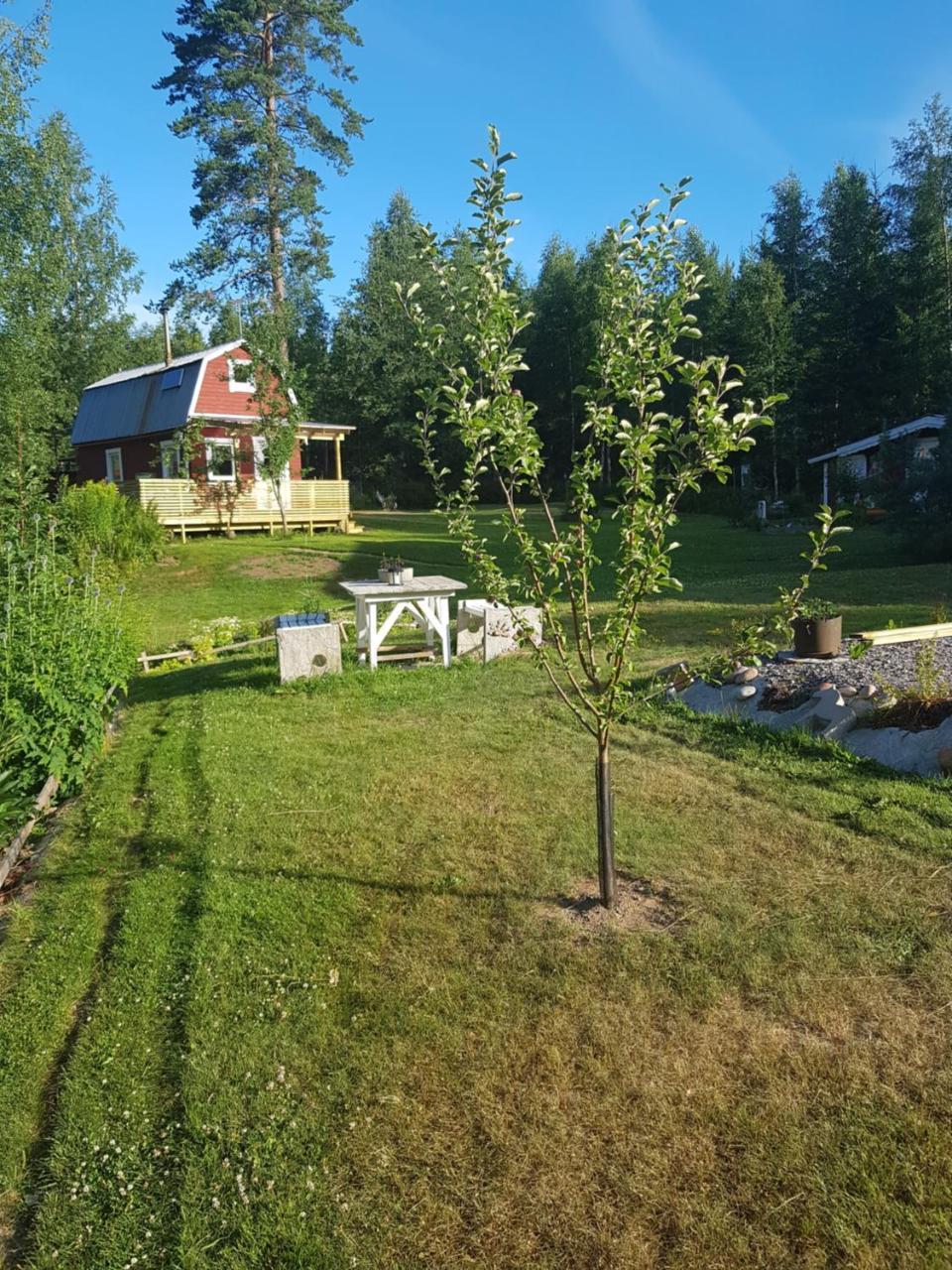 Hyttingsfabodstugor Borlänge Extérieur photo